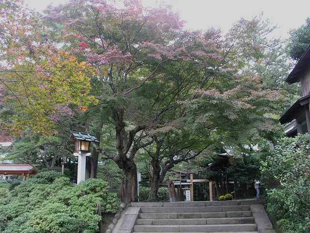 PB140010.jpg