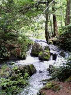 img20070823.jpg