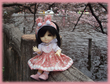 hanami2007-018.jpg