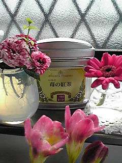 img20080422.jpg