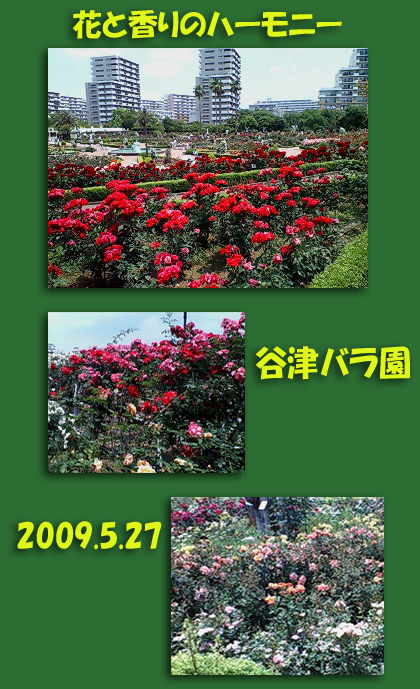 yatu-bara-en-1.jpg
