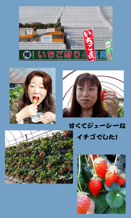 20080311_29ad.jpg