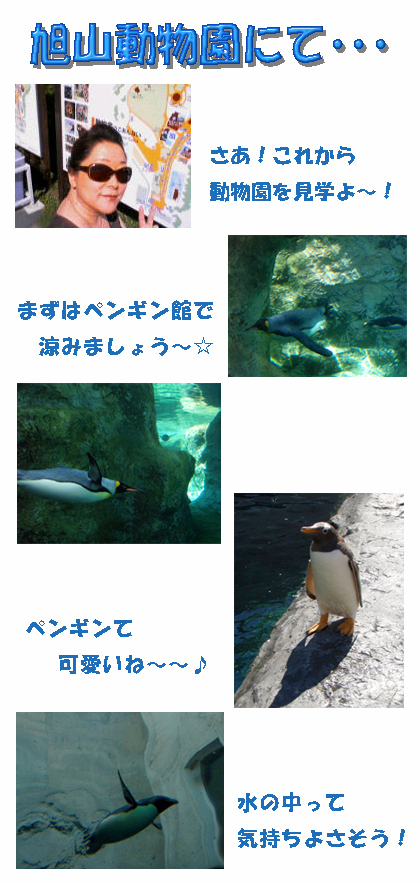 hokaido-b.jpg