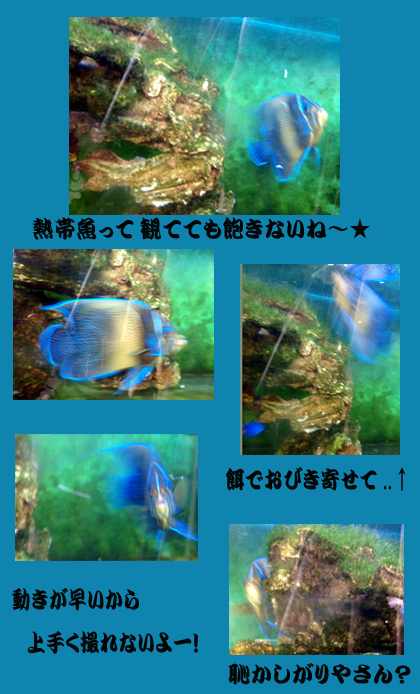20080311_29a.jpg