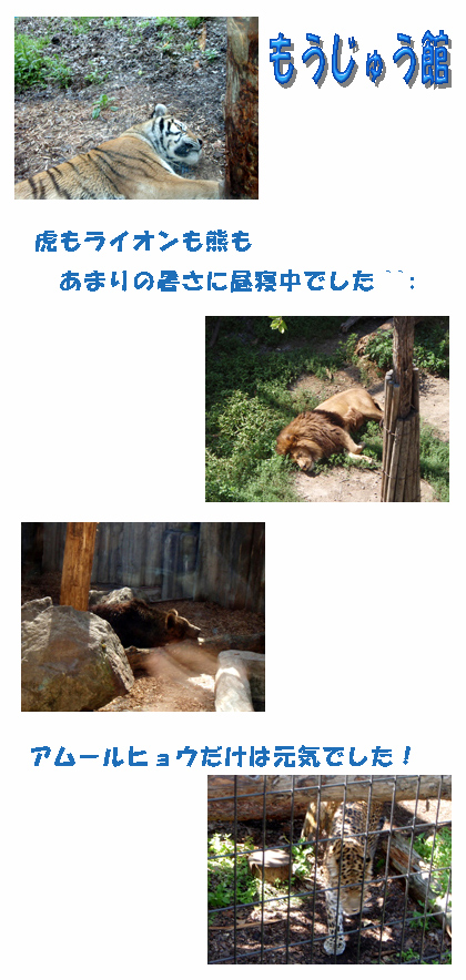 hokaido-c.jpg