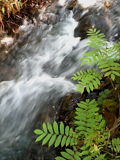 img20070823_1.jpg