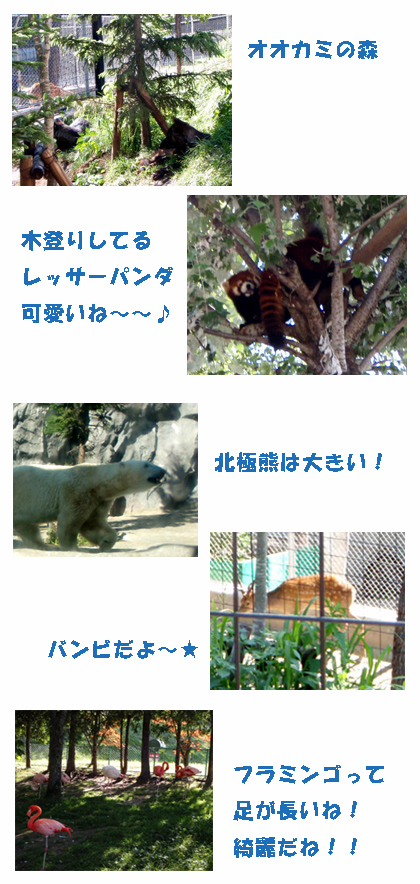 hokaido-d.jpg