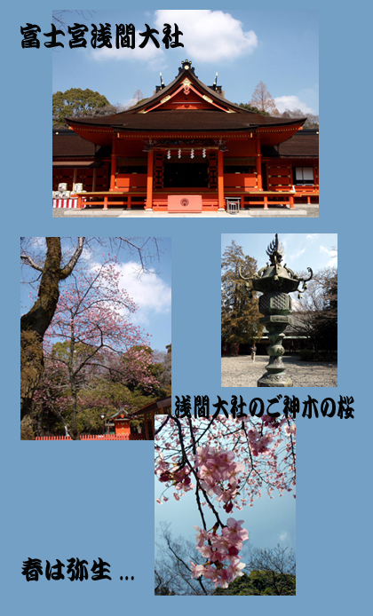 20080311_29ab.jpg