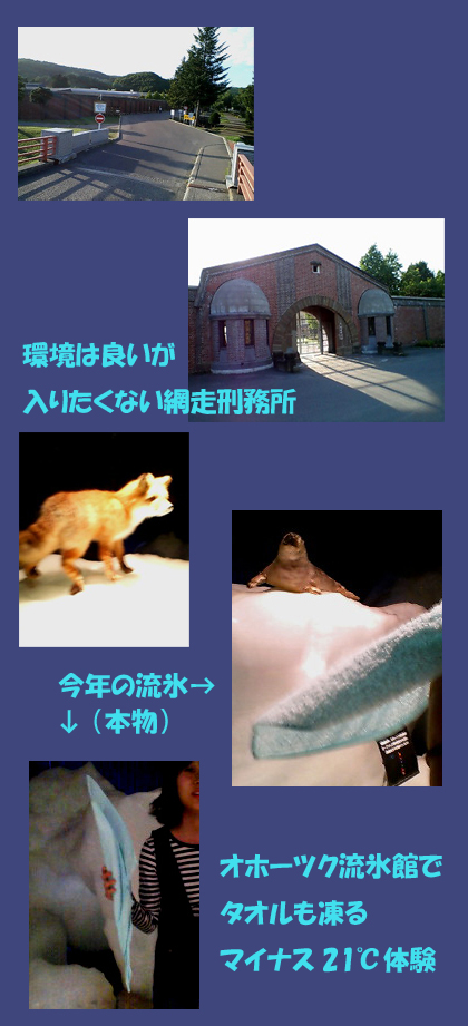 siretoko18.jpg
