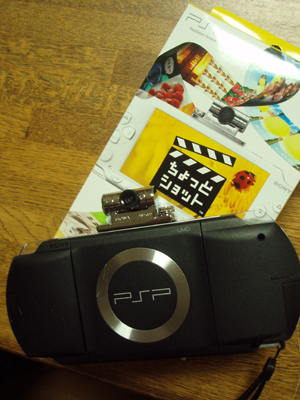 tyotoshot2.jpg