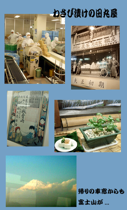 20080311_29ae.jpg