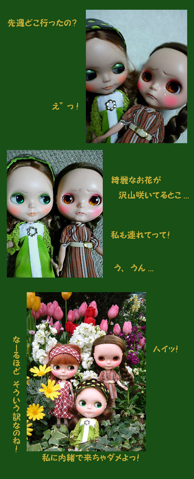 dscf0128c.jpg