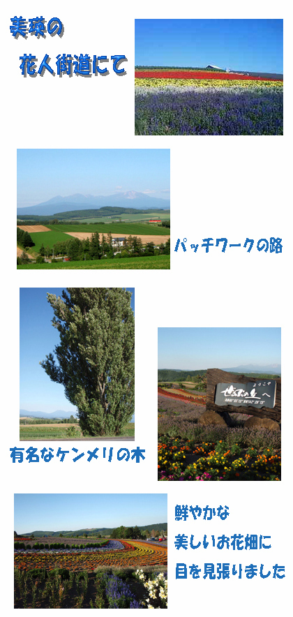 hokaido-e.jpg