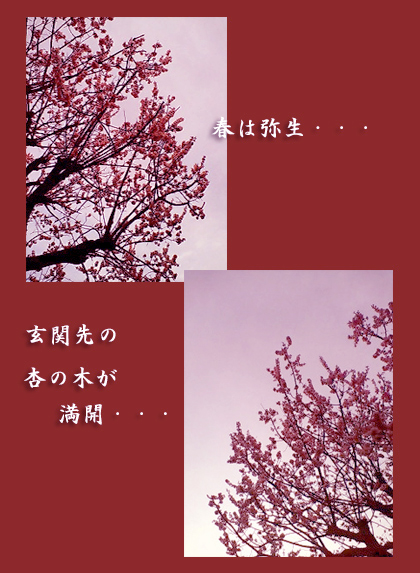 haru-020.jpg