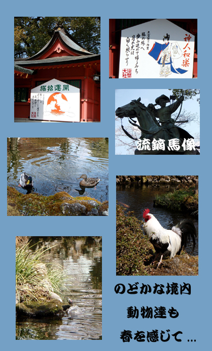 20080311_29ac.jpg