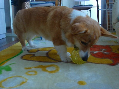 img20070224.jpg