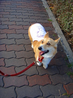 img20070303.jpg