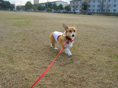 img20070303_1.jpg