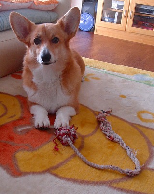 img20070224_2.jpg