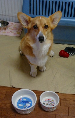 img20070224_3.jpg