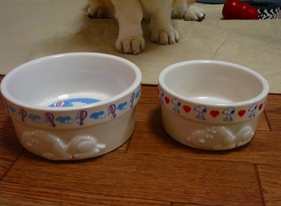 img20070224_4.jpg