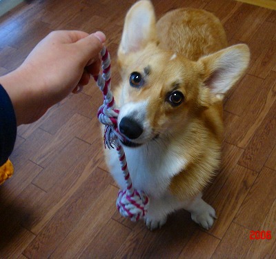 img20070224_1.jpg