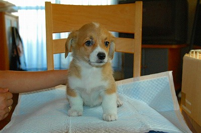 img20070225_2.jpg