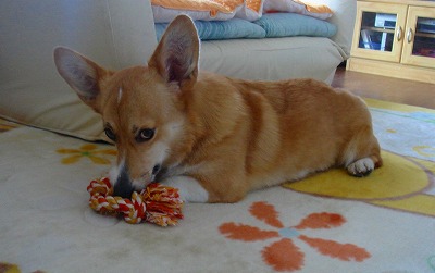 img20070227_1.jpg