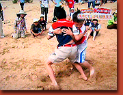 sumo.jpg