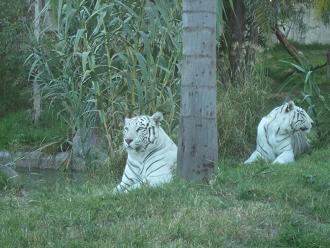 dscf6572.jpg
