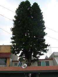 dscf9988.jpg