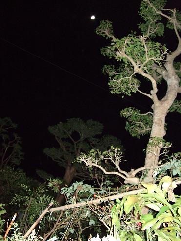 dscf5248.jpg