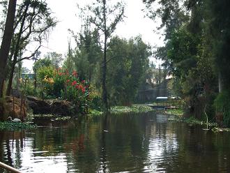 dscf6764.jpg