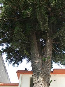 dscf9303.jpg