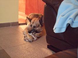 dscf9738.jpg