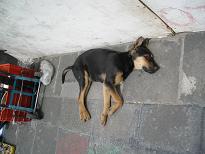 imgp0125.jpg