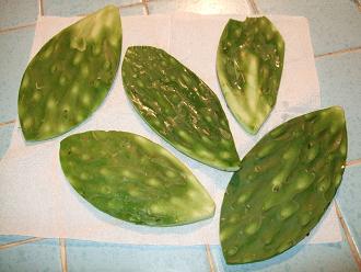 dscf7198.jpg
