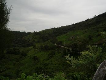 imgp0060.jpg