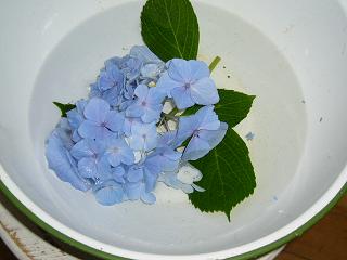 p1020135.jpg