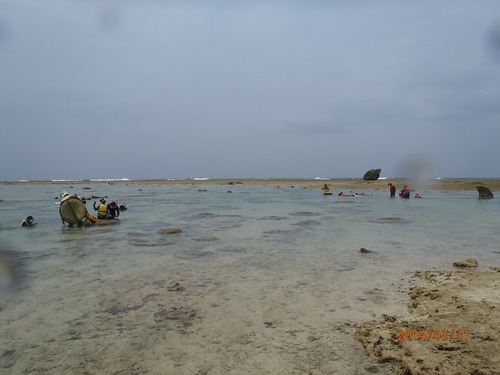 P3310075