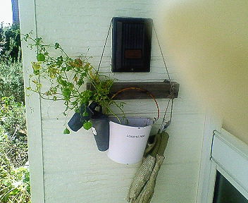 nec_0570.jpg