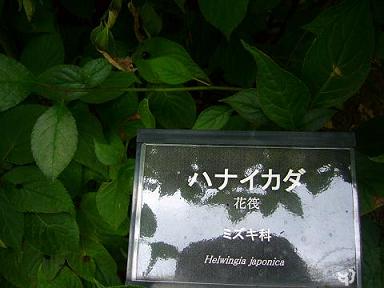 p1020751.jpg