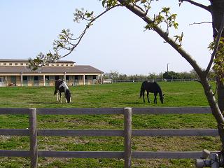 P1010481.jpg