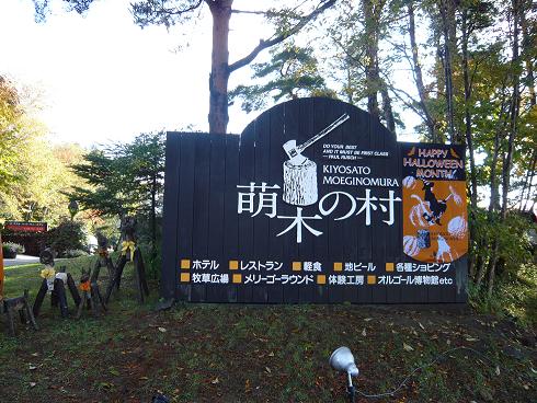 p1000311.jpg