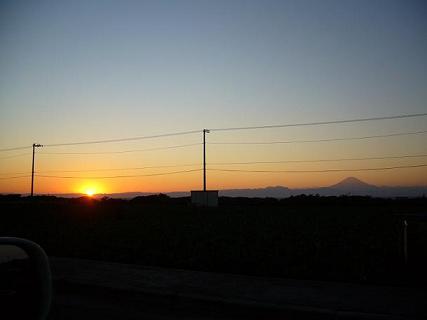 p1030278_1.jpg