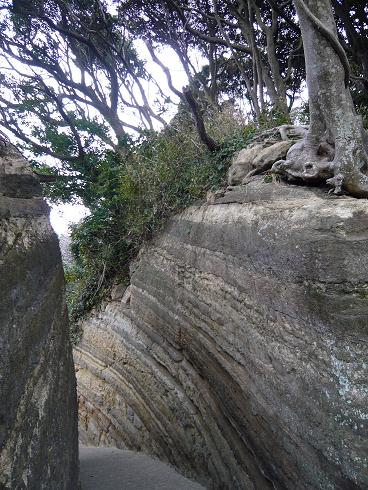 p1020059.jpg