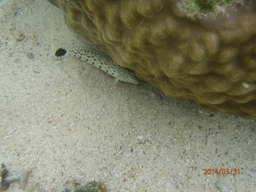 P3310057