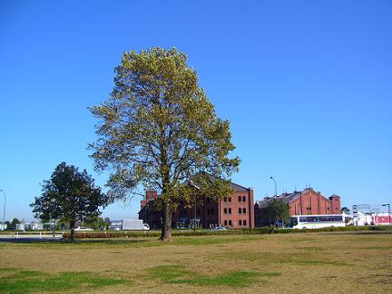 p1030297.jpg