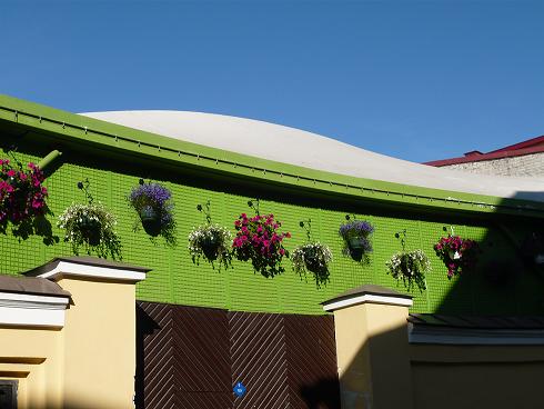 p1030225.jpg