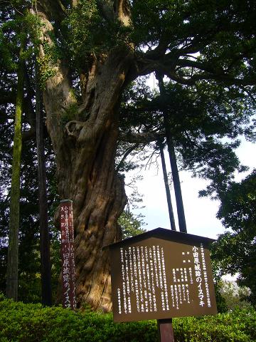 p1050359.jpg